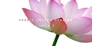 Titolo Immagine Pranic Energy healing 